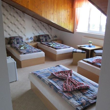 Pension U Vlasku Karlsbad Rum bild