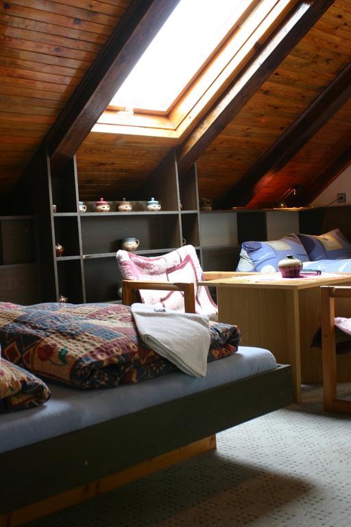 Pension U Vlasku Karlsbad Rum bild