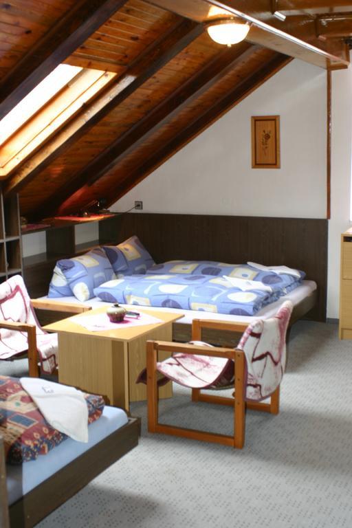 Pension U Vlasku Karlsbad Rum bild