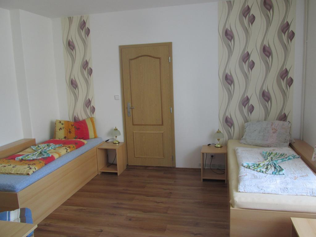 Pension U Vlasku Karlsbad Rum bild