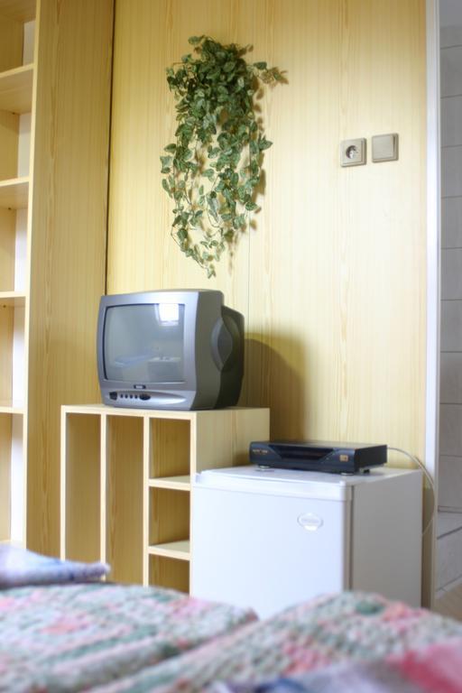 Pension U Vlasku Karlsbad Rum bild